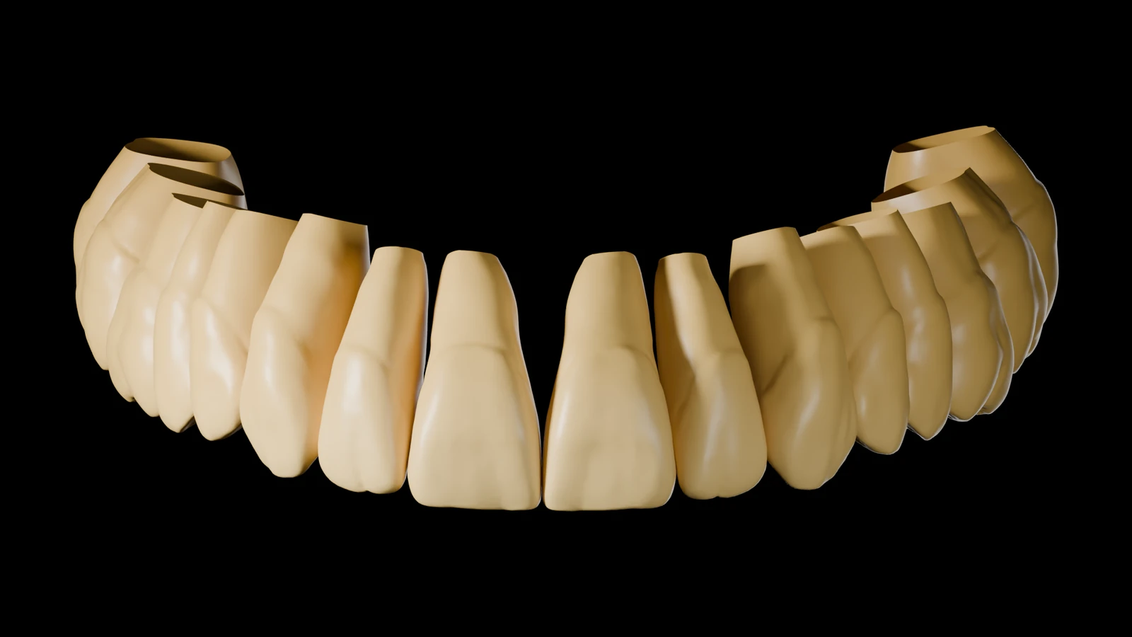 True Library — Tony: upper jaw, front view, full anatomy