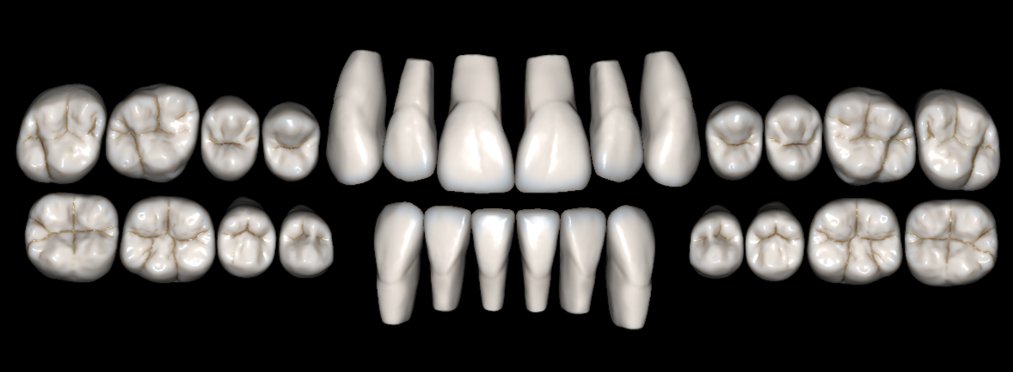 Rotari Library — natural tooth morphology for Exocad